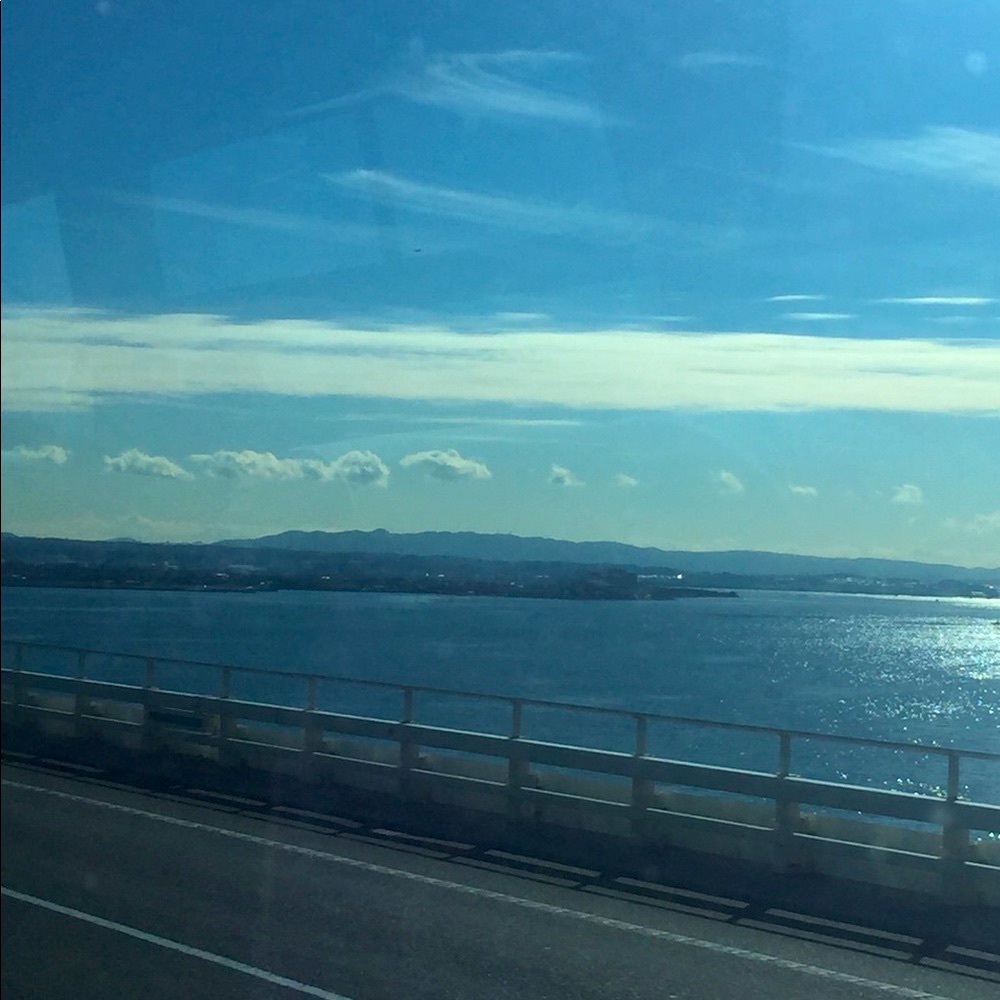 Meet your Posher, Sharan